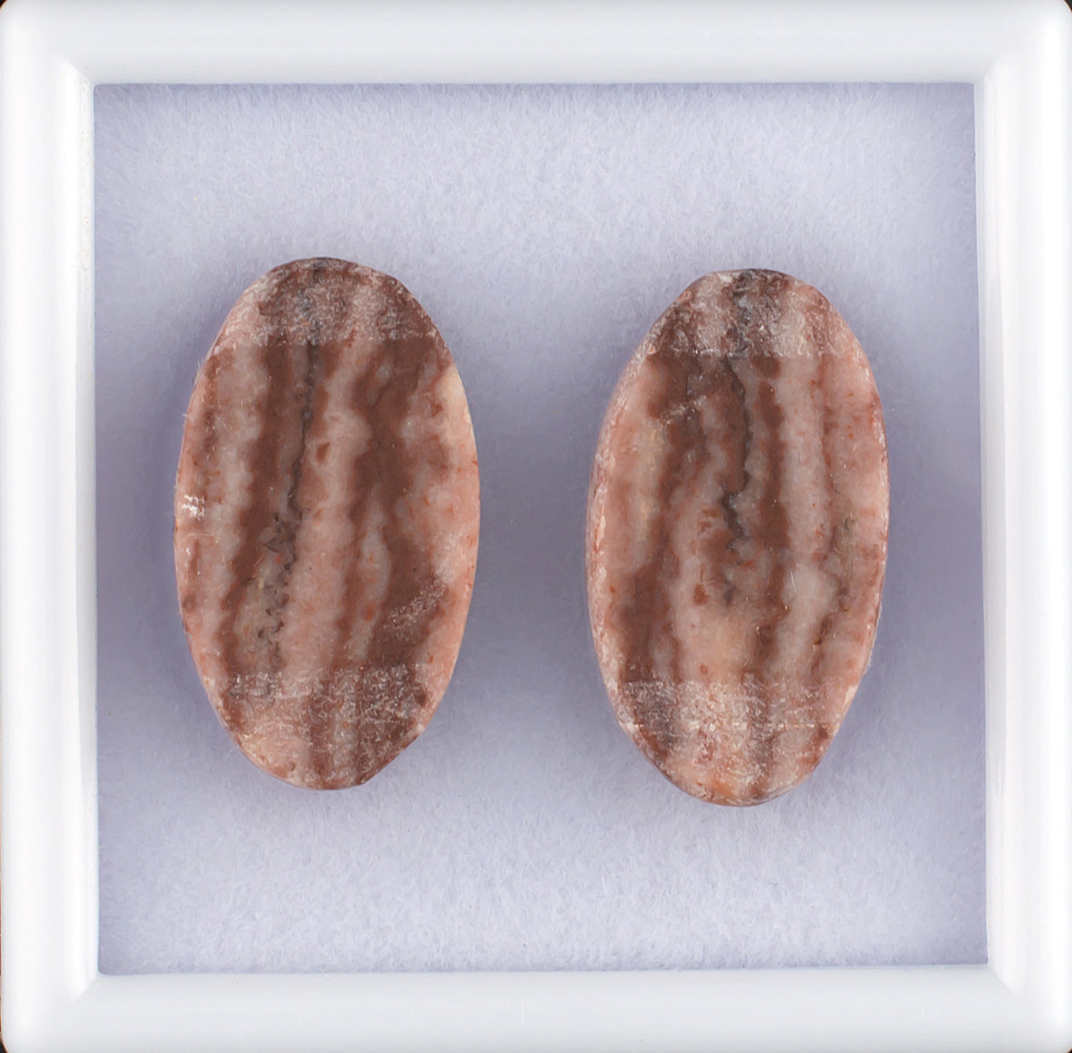 15.73twt Coconut Jasper Colored Gemstone Pair Bottom View 
