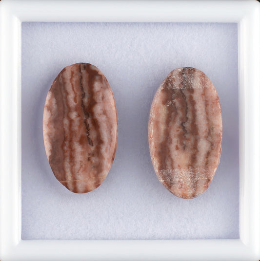 15.73twt Coconut Jasper Colored Gemstone Pair Top View
