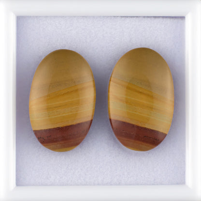 17.48twt Owyhee Picture Jasper Colored Gemstone Pair Top View White Background
