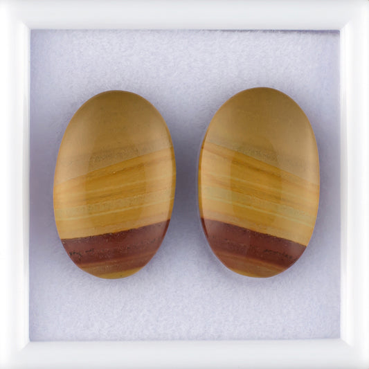 17.48twt Owyhee Picture Jasper Colored Gemstone Pair Top View White Background
