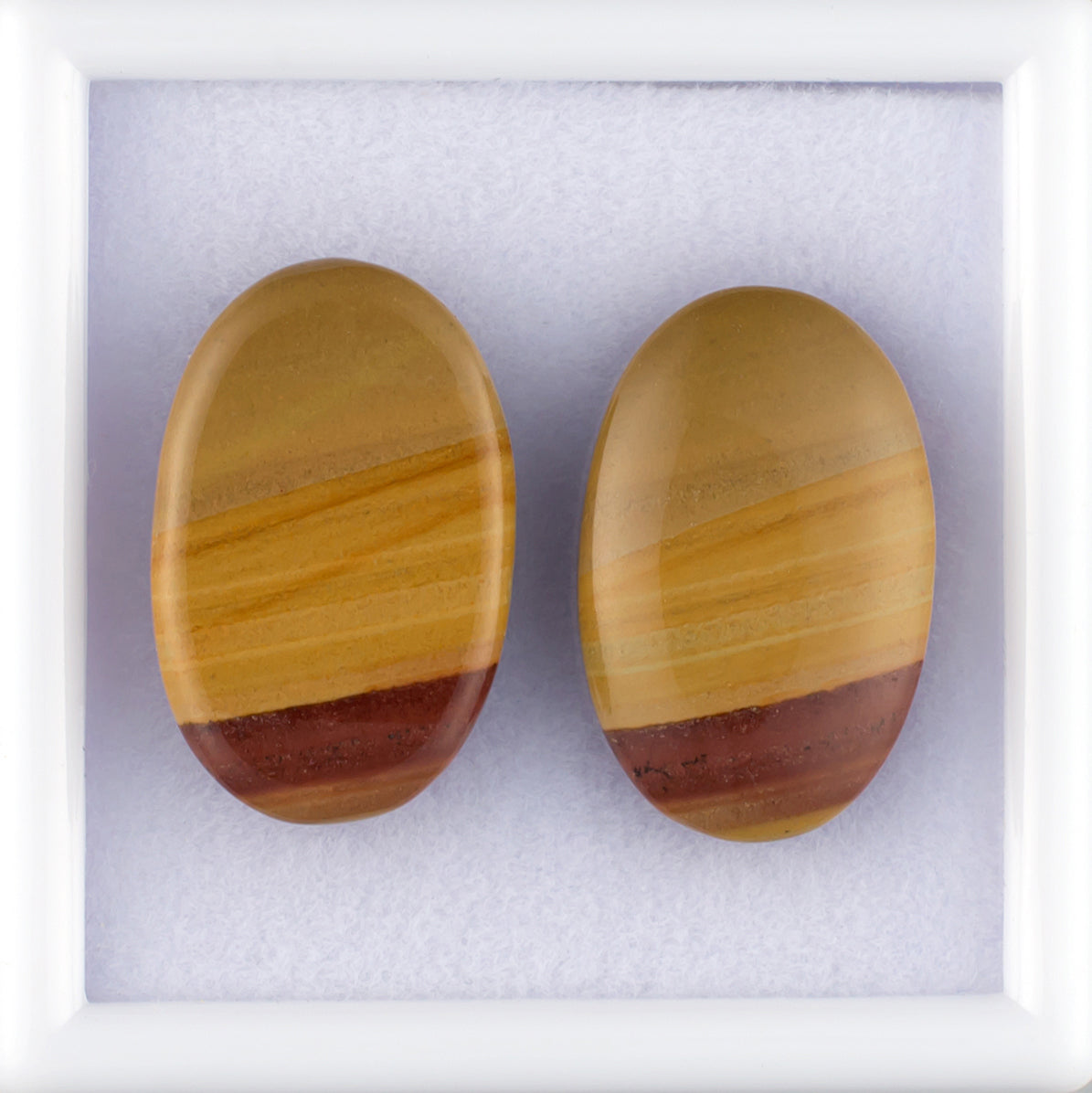 17.48twt Owyhee Picture Jasper Colored Gemstone Pair Bottom View White Background 
