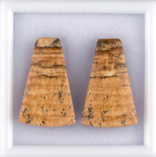 20.76twt Picture Jasper Colored Gemstone Pair Top View 
