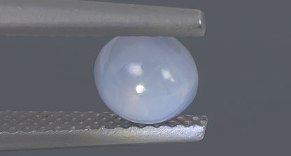 Saphir étoilé bleu 1,50 ct
