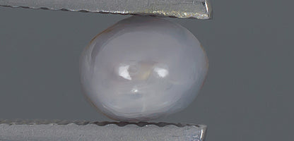 1.34ct Blue Star Sapphire