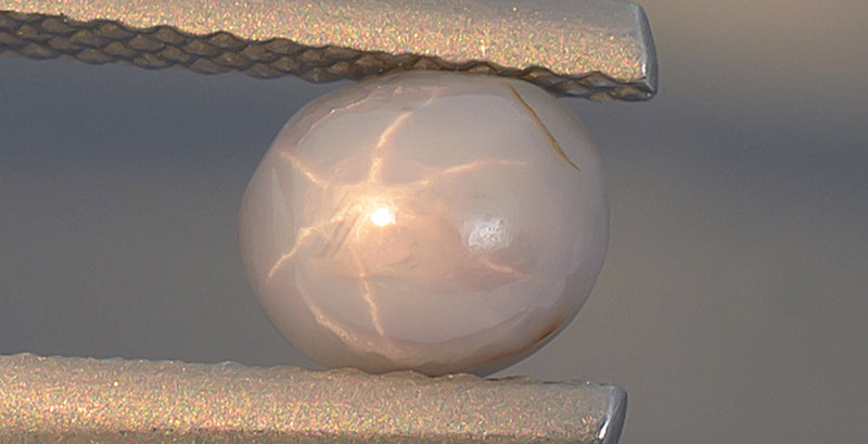 1.34ct Blue Star Sapphire