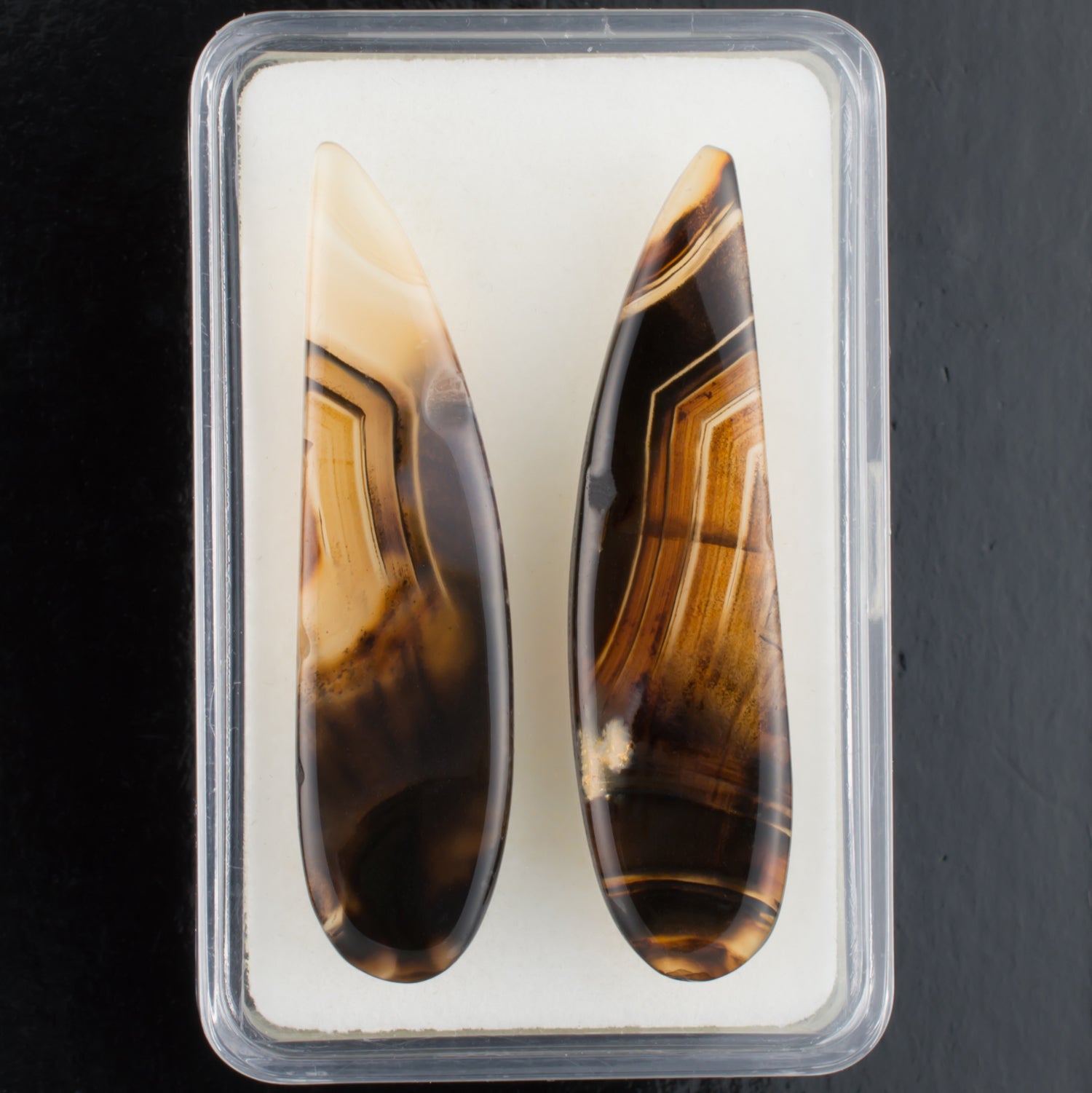 29.12twt Montana Agate Colored Gemstone Pair Bottom View White Background 
