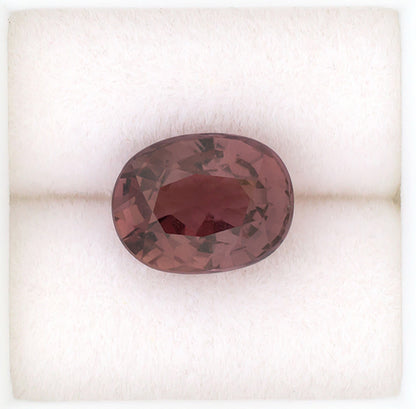 3.25ct Pink Sapphire Colored Gemstone AGL Certificate Top View White Background