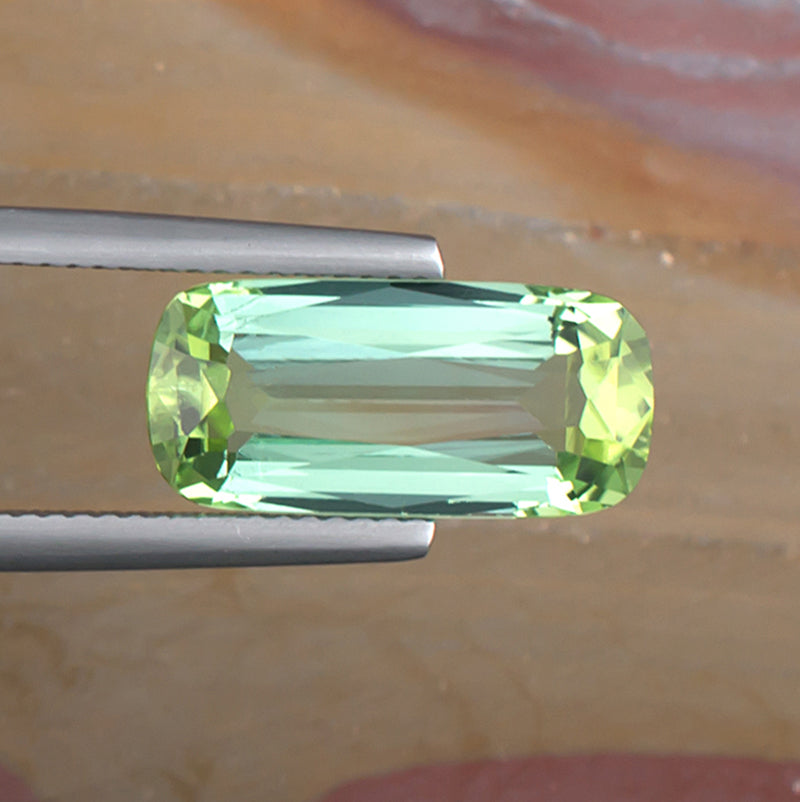 5.42ct Bicolor Tourmaline Colored Gemstone Top View II Natural Background

