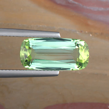 5.42ct Bicolor Tourmaline Colored Gemstone Top View II Natural Background
